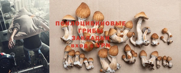 стафф Беломорск